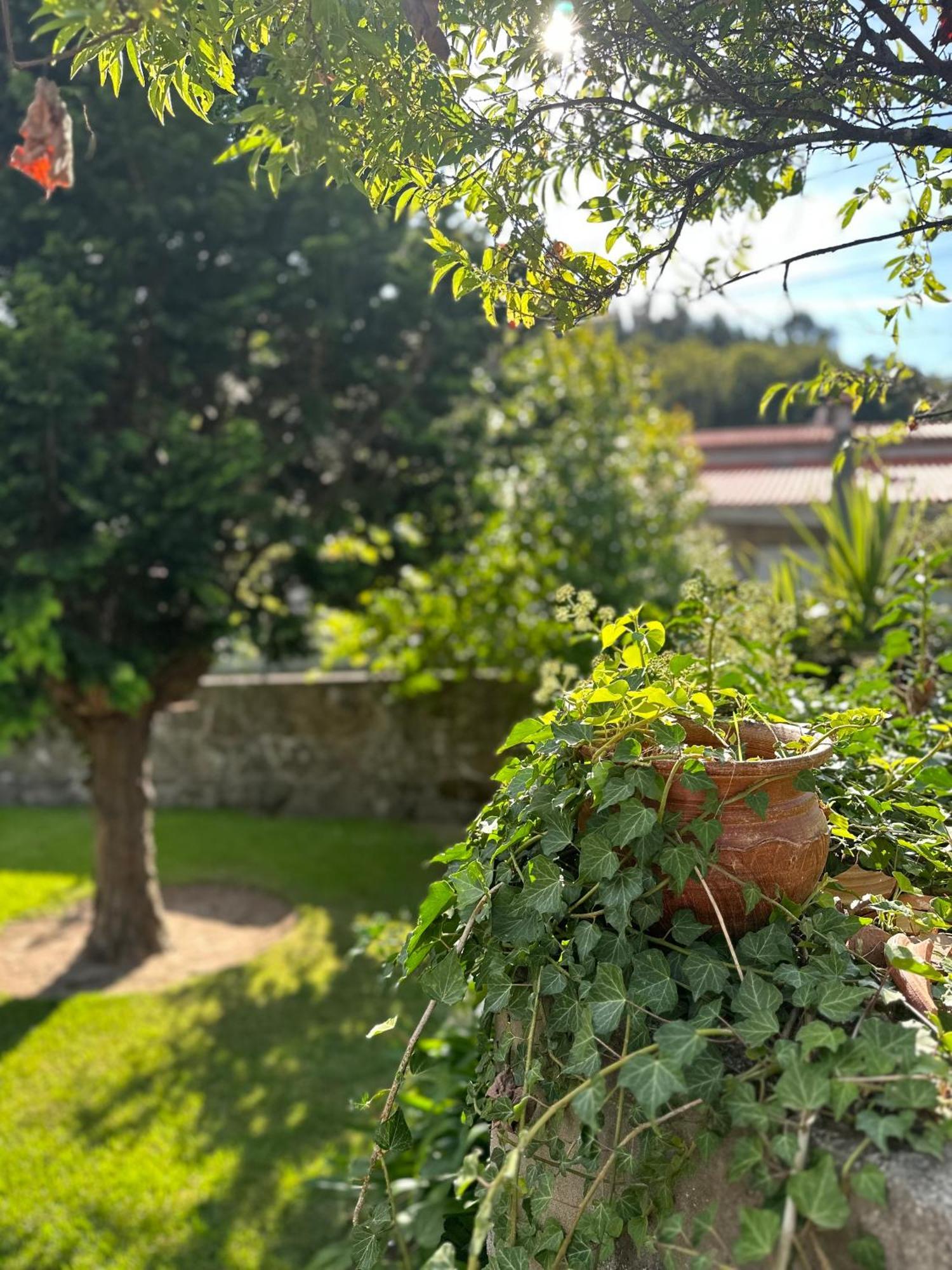 Vila Guia In Valdreu 브라가 외부 사진