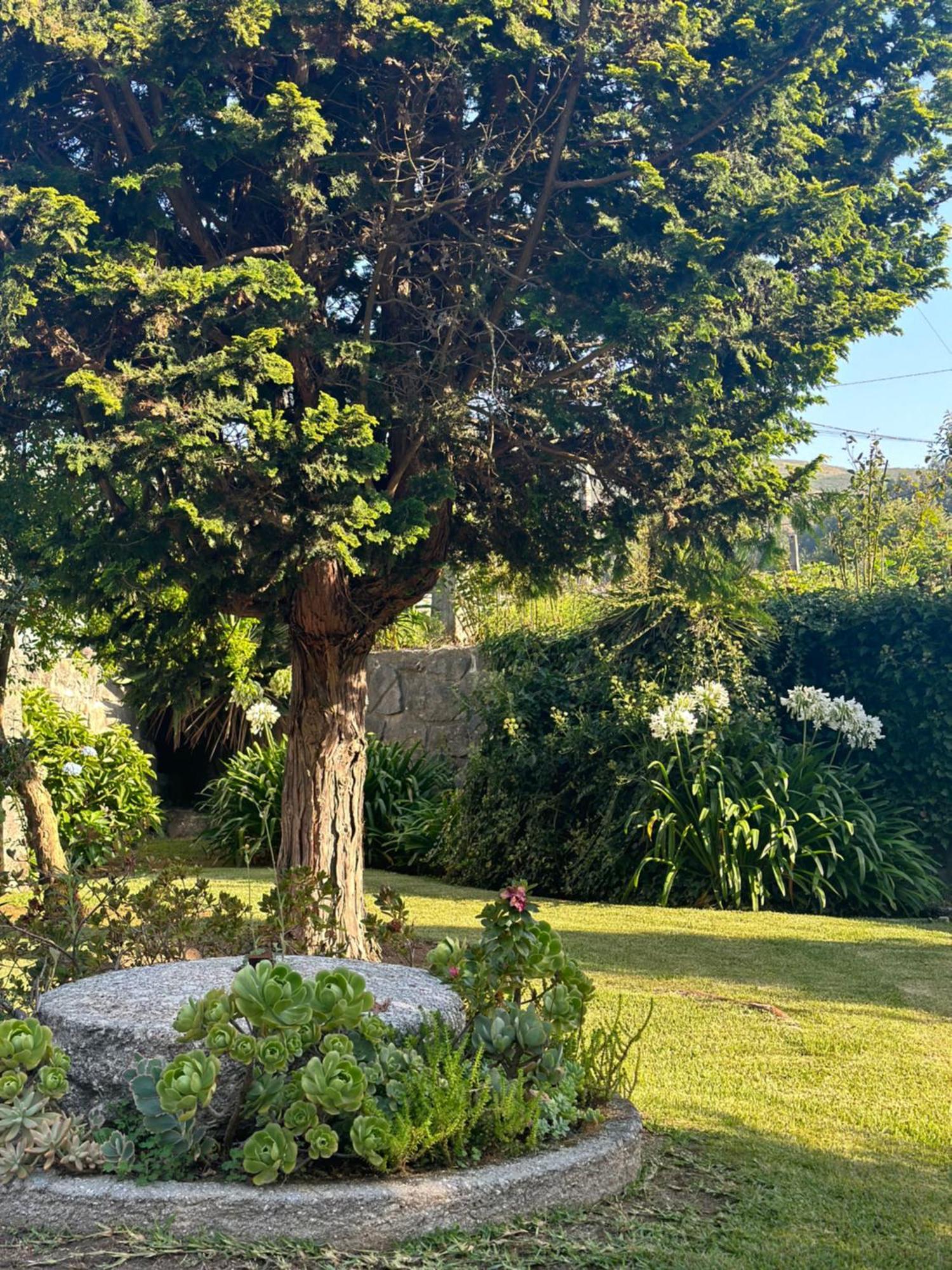 Vila Guia In Valdreu 브라가 외부 사진